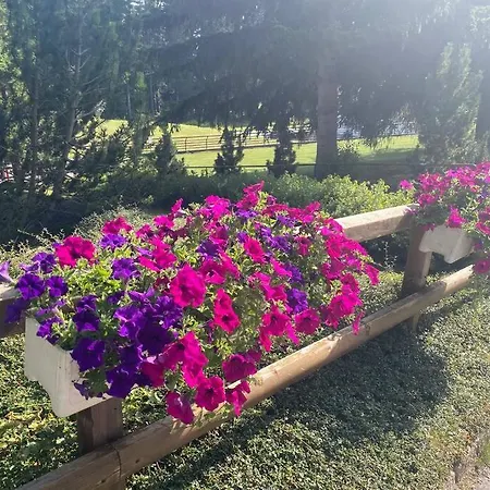 Apartment Avec Jardin A Crans-Montana