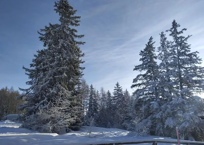 Avec Jardin à * Crans-Montana